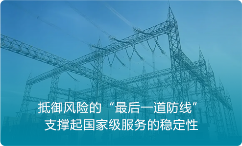 国家电网：守护“万家灯火”